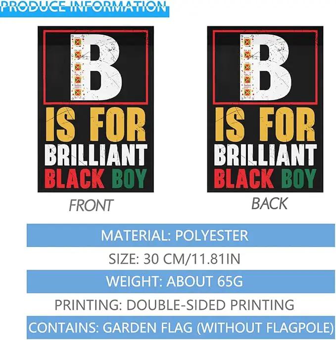 B Is For Brilliants Black Boy Kid Black Historys Month Garden Flags 12x18 Double Sided Novelty Garden Banner for Summer by GreenHaven Gardens