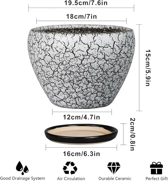 Ceramic Plant Pot 8 Inch - Ceramic Planter for Indoor Plants, Round Flower Pot with Drainage Hole and Saucer, Glaze White and Black by GreenHaven Gardens