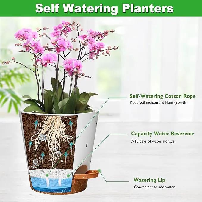 Orchid Pots with Holes, 6 Inch Self Watering Orchid Pot 2 Pack Plastic Plant Pots for Orchid, Flower (White+Brown) by GreenHaven Gardens