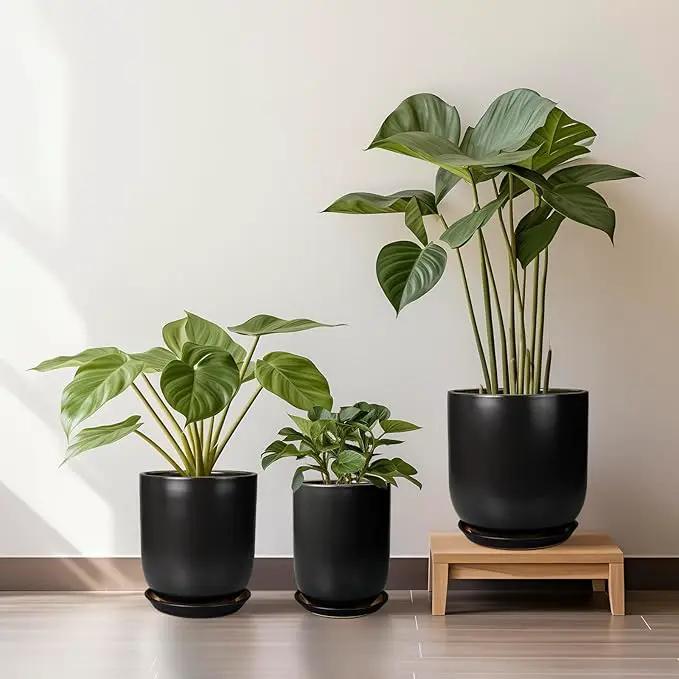 Ceramic Planter 8 Inch - Plant Pot for Indoor Outdoor Plants Cylinder Flower Pot with Drainage Hole and Saucer Black by GreenHaven Gardens