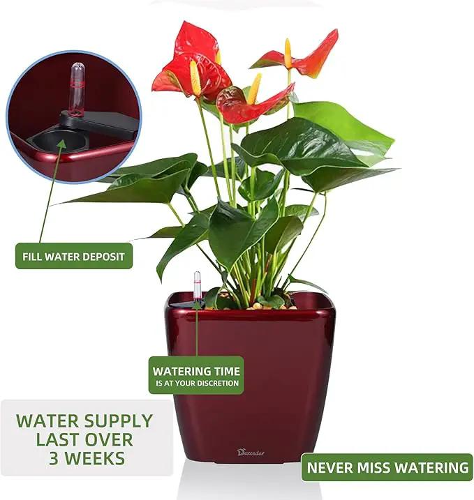 Dexceder 9x8 Self Watering Planter Indoor Outdoor, Inner Mat Design, Thickened Table Flower Plant Pot with Water Level Indicator (Red High Gloss) by GreenHaven Gardens