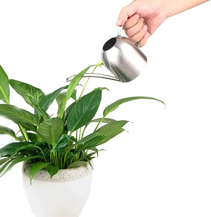 IMEEA Small Watering Can for Indoor Plants Stainless Steel Bonsai Watering can Mini Metal (15oz/450ml) by GreenHaven Gardens