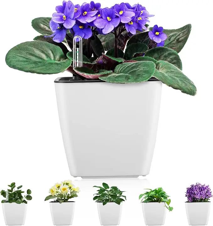 Self Watering Planters for Indoor Plants : 5 inch 6 Pack White Planter with Water Level Indicator African Violet Self Watering Flower Pot for Herb pots by GreenHaven Gardens