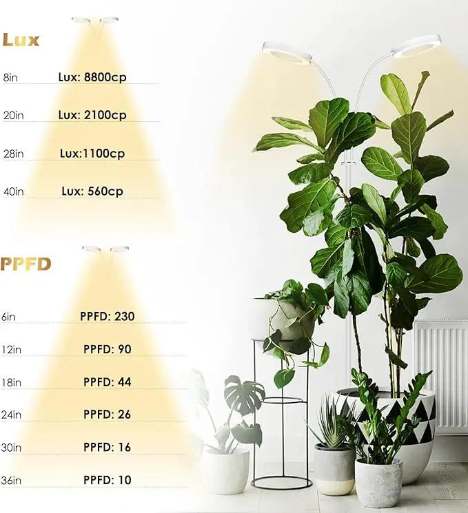 GLOWRIUM Grow Light with Stand,2-Head LED Plant Light for Indoor Plants, Full Spectrum Grow Lamp, 3/9/12H Timer, 6 Dimmable Levels, 3 Lighting Mode, Adjustable Height White by GreenHaven Gardens