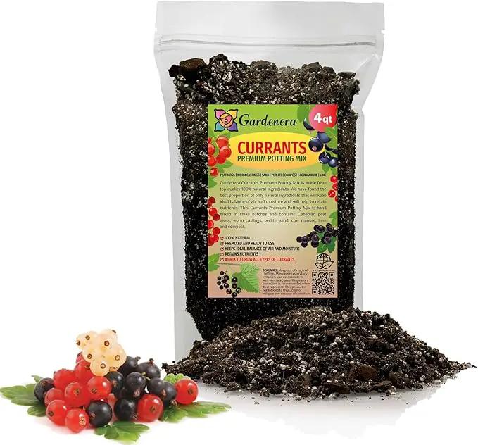 Premium Currant Plant Potting Soil Mix - Optimal Nutrient-Rich Blend for Thriving and Juicy Currants - 4 Quart by GreenHaven Gardens