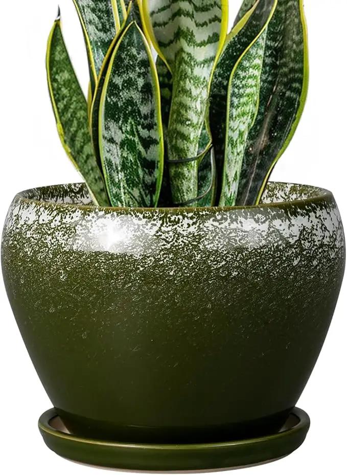 8 Inch Plant Pot - Ceramic Planter with Drainage Hole and Saucer, Modern Flower Pot for Glazed Indoor Plants Outdoor, Dark Green by GreenHaven Gardens
