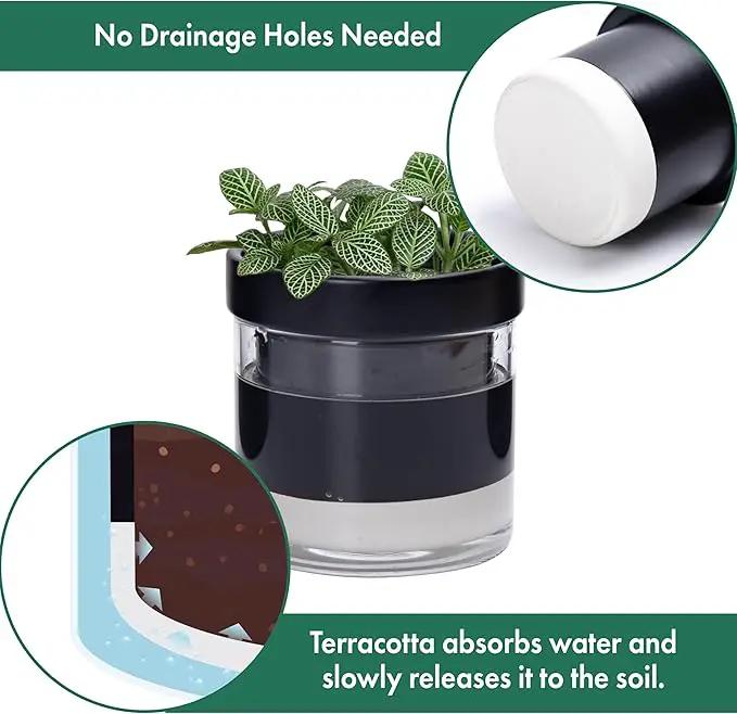 Phoenix Vine 4 Inch Self Watering Planter Pot, Black Terracotta Clay Pot with Glass Reservoir for Indoor Plants, Herbs, Flowers, Set of 2, 52-C-E-2 by GreenHaven Gardens