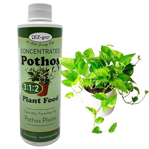 Professional Liquid Pothos Fertilizer by EZ-gro | 3:1:2 Ratio of Concentrate Indoor Plant Fertilizer for Your Pothos Live Plant | 8 oz by GreenHaven Gardens