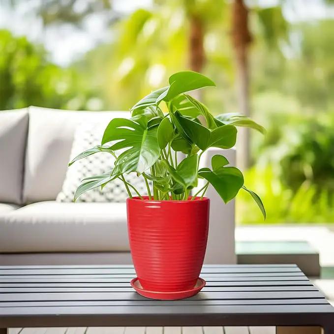 Ceramic Pot for Plants - 8 Inch Plant Pot for Indoor Plants Outdoor Round Planter Modern Flower Pot with Drainage Hole and Saucer Home Garden Office Porch Decor Red by GreenHaven Gardens