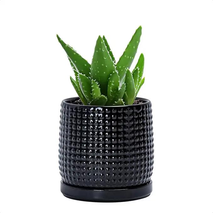 D'vine Dev 4 Inch Ceramic Beaded Stoneware Planter Pot - Flower Pot with Drainage Holes and Saucers for Indoor Succulent Plants or Flowers, Glossy Black, 27-C-Z-2 by GreenHaven Gardens