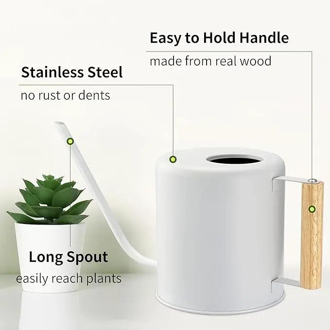 1.5 Liter Watering Can for Indoor Plants, House Plants, Flower Watering, Outdoor Plants - Small Metal Watering Can with Long Spout (White) by GreenHaven Gardens
