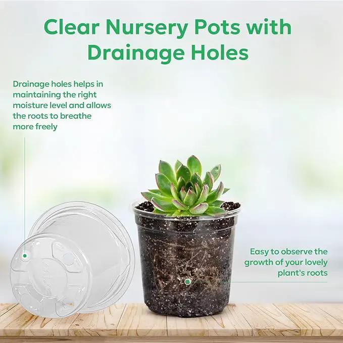 60 Packs 3.5 Inch Reinforced Clear Nursery Pots with Drainage Hole, Transparent Variety Pack Plastic Plant Pot Seedling Planter Seed Starter Flower by GreenHaven Gardens