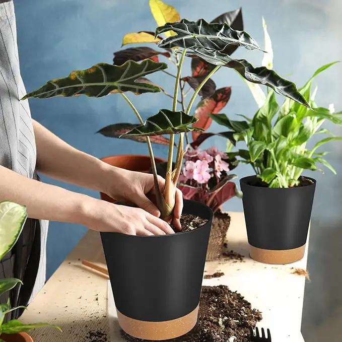 GARDIFE Plant Pots 8/7/6.5/6/5.5/5 Inch Self Watering Planters with Drainage Hole, Plastic Flower Pots, Nursery Planting Pot for All House Plants, African Violet, Flowers, and Cactus,Black by GreenHaven Gardens