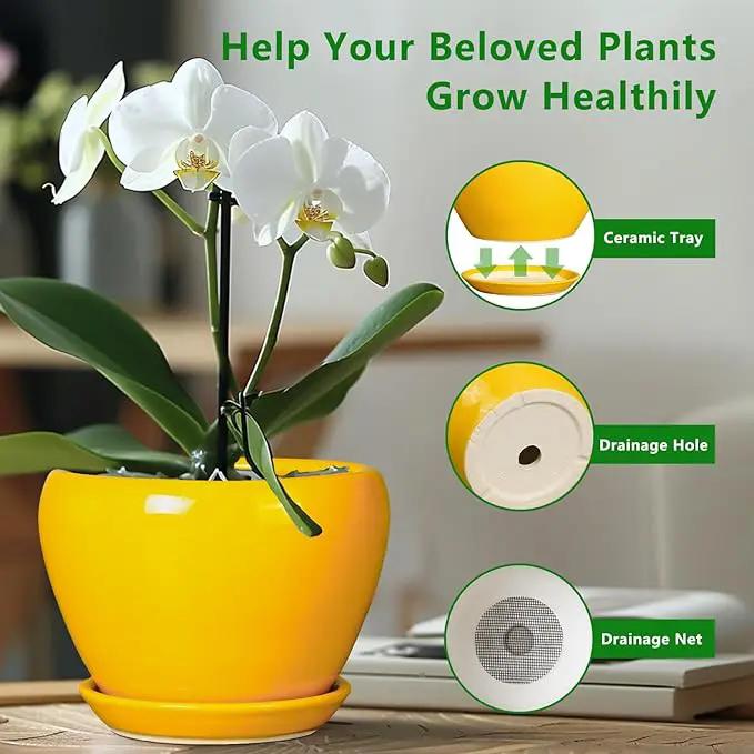 Ceramic Planter - 10 Inch Plant Pot for Indoor Outdoor Plants Glaze Modern Round Planter with Drainage Hole and Saucer for Garden Office Home Room Patio Decor, Yellow by GreenHaven Gardens