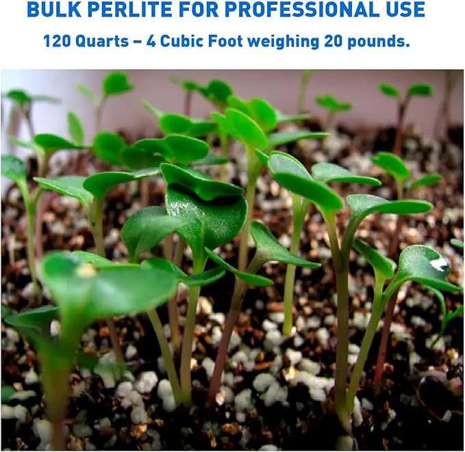 Norcal Perlite Horticultural Organic Certified Premium Screened Coarse – Garden Indoor Outdoor Plants – Soil Additive Better Aeration and Drainage - 4 Cubic Feet (103 Quarts) 1 Bag by GreenHaven Gardens