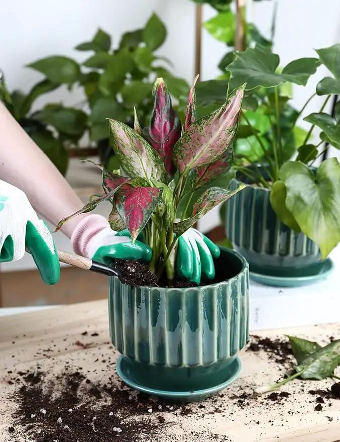 AISBUGUR Plant Pots 6 inch Ceramic Pots for Indoor Plants Set of 2 Flower Pots Unique Crackle Glaze Design Plant Pots with Drainage Hole and Saucer Come with Drainage Nets (Aqua Green) by GreenHaven Gardens