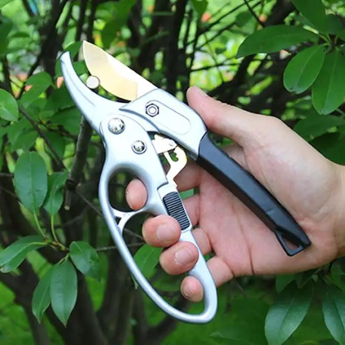 Ultra Sharp Germany Titanium Steel Pruning Shears - Cuts 3X Easier, Weak Hand Arthritis Snips, Rust-Resistant, Effortlessly 1-Inch Cut Capacity Garden Scissors, Ergonomic Handle by GreenHaven Gardens