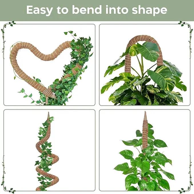 63'' Bendable Moss Pole Monstera Plant Support for Climbing Indoor Plants - Stakes for Potted Climbers - Tall Sticks Indoor Trellis for Houseplants - Accessories for Monstera Pot by GreenHaven Gardens