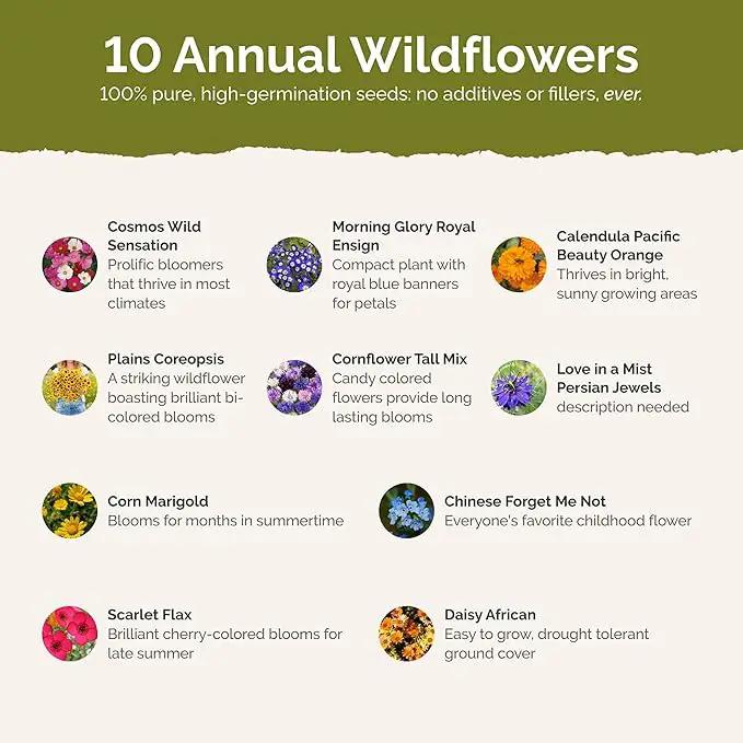 Eden Brothers Country Garden Flower Mixed Seeds for Planting, 1 lb, 480,000+ Seeds with Scarlet Flax, Cosmos Sensation | Attracts Pollinators, Plant in Spring or Fall, Zones 3, 4, 5, 6, 7, 8, 9, 10 by GreenHaven Gardens