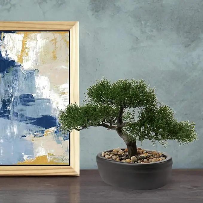 Artificial Bonsai Tree Juniper Faux Plants Indoor Small Fake Plants Decor with Ceramic Pots for Home Table Office Desk Bathroom Shelf Bedroom Living Room Farmhouse Decorations by GreenHaven Gardens