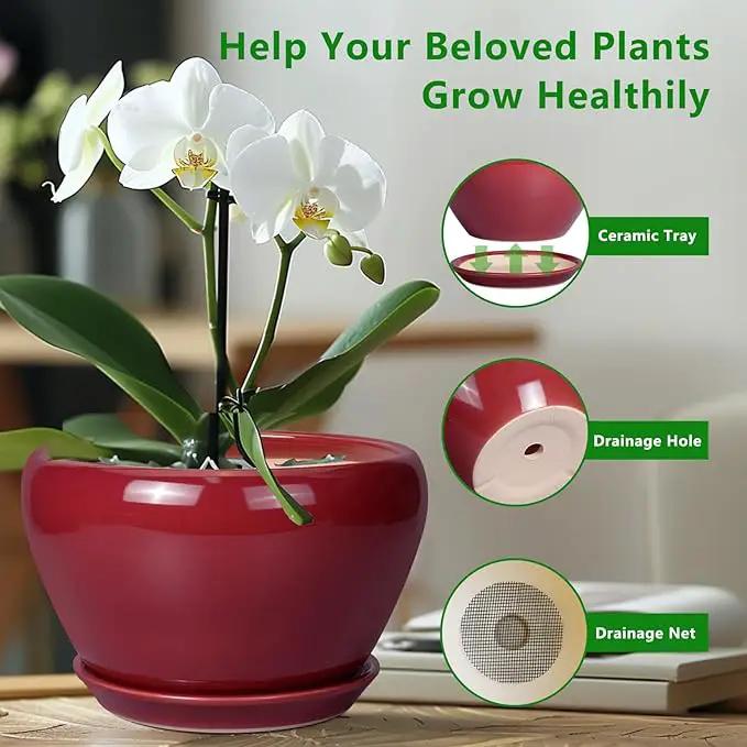 Ceramic Plant Pot 9 Inch - Planter Pot with Drainage Hole and Saucer, Round Large Planter for Indoor Plants, Outdoor Flower Pot for House Patio Decor, Red by GreenHaven Gardens