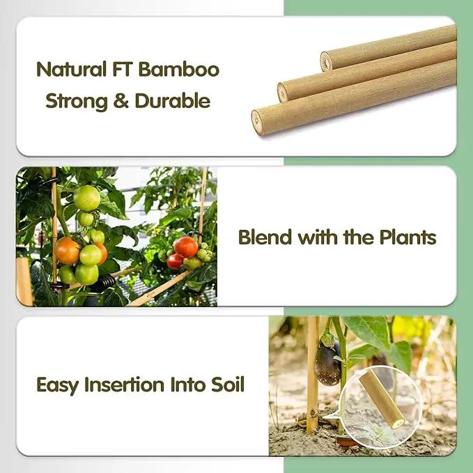 Bamboo Stakes,3FT Natural Bamboo Garden Stakes,BOVITRO 25Pcs Bamboo Plant Stakes,Bamboo Sticks for Tomato,Beans,Vegetable and Climbing Plants by GreenHaven Gardens