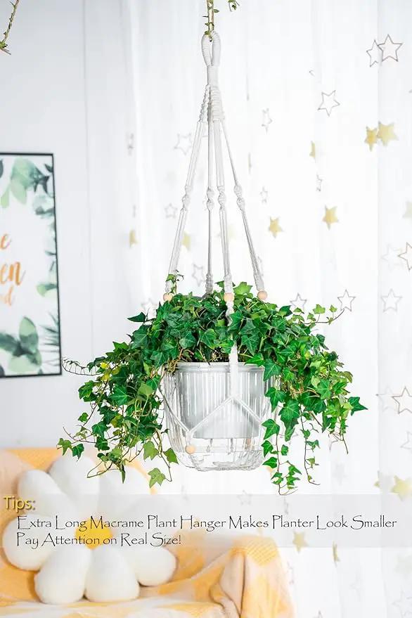 Melphoe Self Watering Hanging Planters for Indoor Plants, 1 Pack 8.3 Inch Outdoor Hanging Plant Pot Basket, 2 Kinds of Hangers Macrame 35.5’’ & Metal Chain 19.6’’ for Garden Home Decor by GreenHaven Gardens