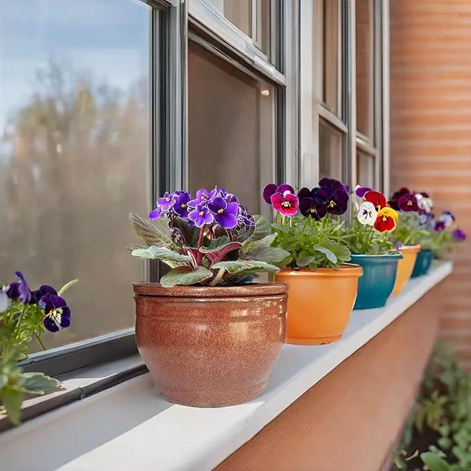 African Violet Pots Self Watering Round Ceramic Violet Pot (Copper, 6 inch) by GreenHaven Gardens