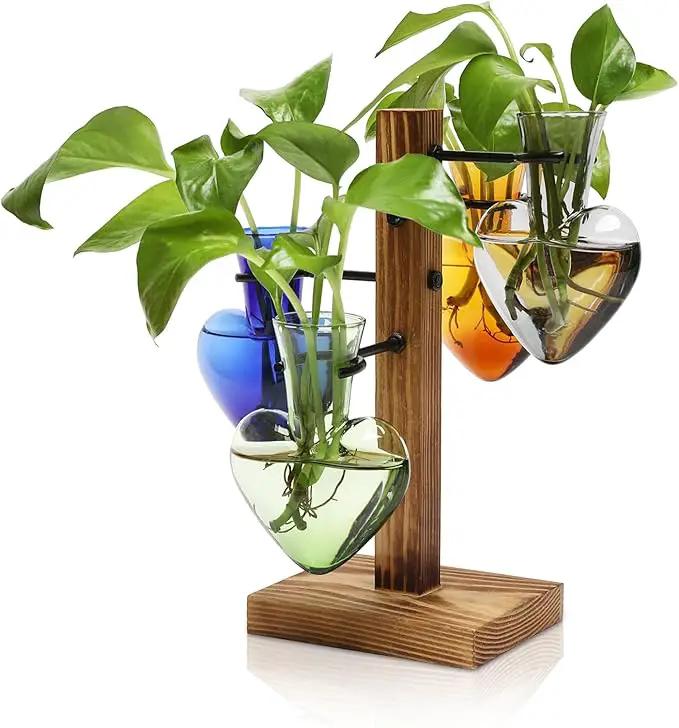 Plants Propagation Stations Plant Terrarium Kit Glass Planters for Indoor Plants House Plant Accessories Gift for Women - 4 Love Bulb Vase by GreenHaven Gardens