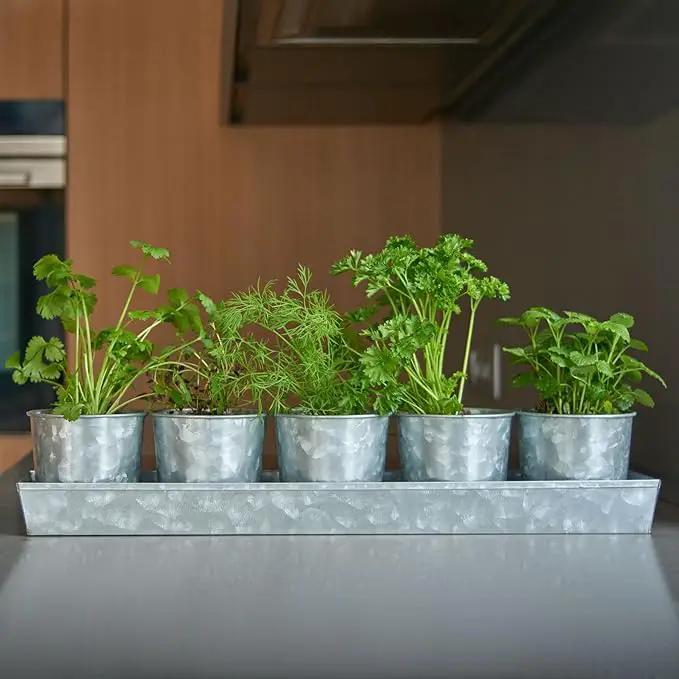 SCANDINORDICA Galvanized Metal Herb Planter, 5 Pots with Drainage Holes, Indoor Outdoor Use, Farmhouse Decor, 19.5x3.9x3.5 inches by GreenHaven Gardens