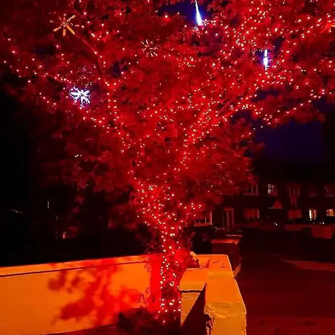 Dazzle Bright 300 LED Christmas String Lights, 100 FT Connectable Waterproof String Lights Green Wire with 8 Modes Christmas Decoration for Indoor Outdoor Party Yard Garden Decor (Red) by GreenHaven Gardens