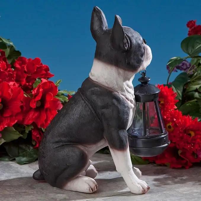 Bits and Pieces - Boston Terrier Solar Lantern Statue - Yard Decorations - Solar Powered Garden Lantern - Resin Dog Sculpture - Outdoor LED Lighting by GreenHaven Gardens