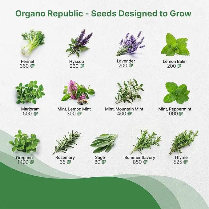 25 Most Popular Herb Seeds Variety Pack - 11,700 Non-GMO Heirloom Seeds for Planting Herbs in Individual Seed Packets for Hydroponic, Indoor & Outdoor Gardening by GreenHaven Gardens