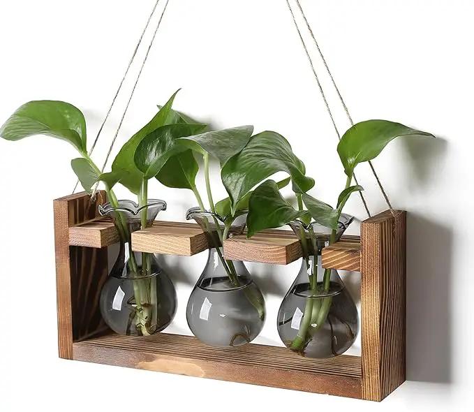 Plant Propagation Station Plant Terrarium Unique Birthday Gifts for Women Plant Lovers Home Office Decor Planter with Wooden Stand - 3 Bulb Glass Vase by GreenHaven Gardens