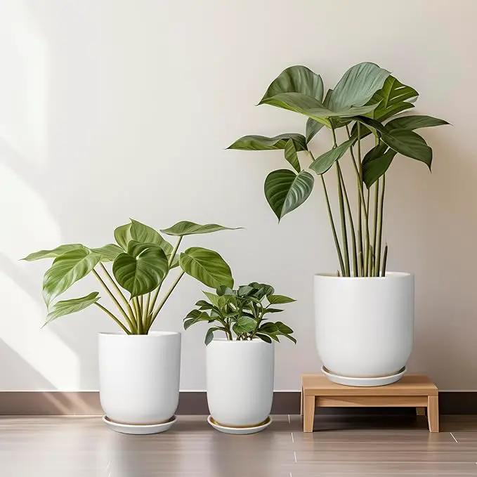 Plant Pot 12 inch - Ceramic Pot for Plants Indoor Outdoor Large Planter Pot with Drainage Hole and Saucer Mid-Century Modern Flower Pot Cylinder White by GreenHaven Gardens