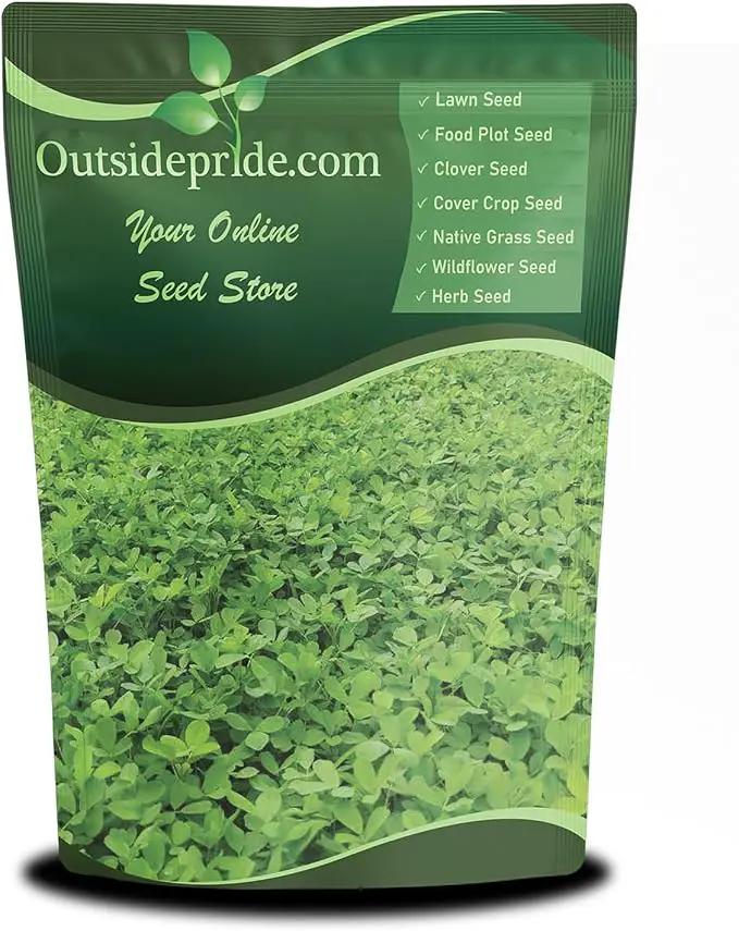 Outsidepride Annual Berseem Clover Seeds for Lawn - 10 lbs. High-Yield, Fast-Growing Clover Cover Crop Seeds for Food Plots, Cattle Forage & Nitrogen-Rich – Ideal for Pastures & Soil Improvement by GreenHaven Gardens