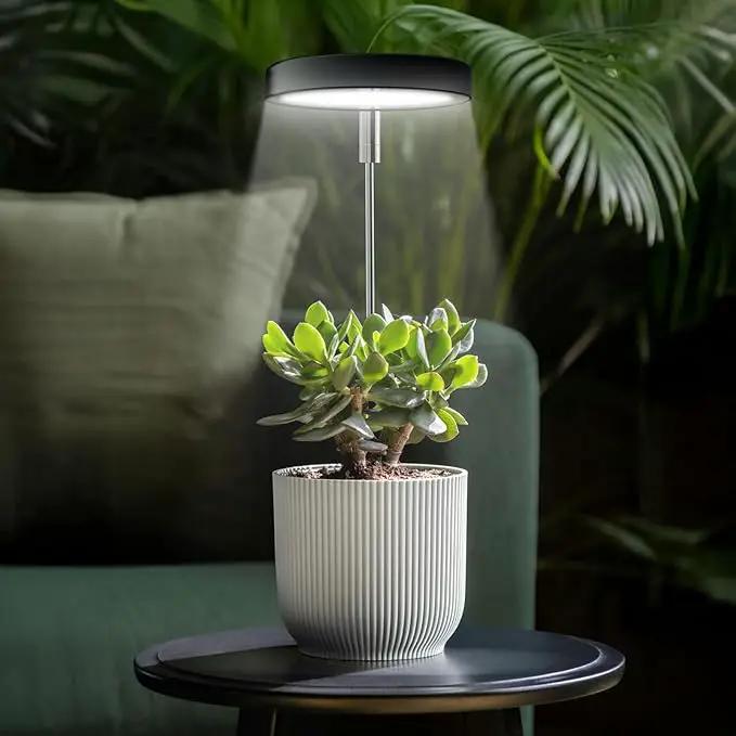Grow Lights for Indoor Plants Small Potted - Full Spectrum, Auto 3/9/12H Timer, 10-Level Dimming & Adjustable Height - Compact Grow Light for Succulents, Herbs, Foliage in Home/Office (Black,2PACKS) by GreenHaven Gardens