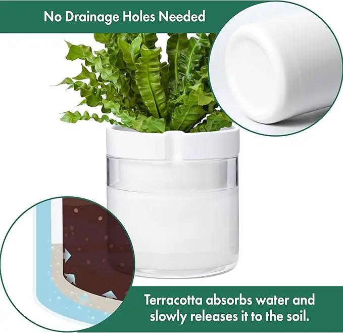 Phoenix Vine 8 Inch Self Watering Planter, White Terracotta Clay Pot with Glass Reservoir for Indoor Plants, Herbs, Flowers, Set of 1, 52-B-H-1 by GreenHaven Gardens