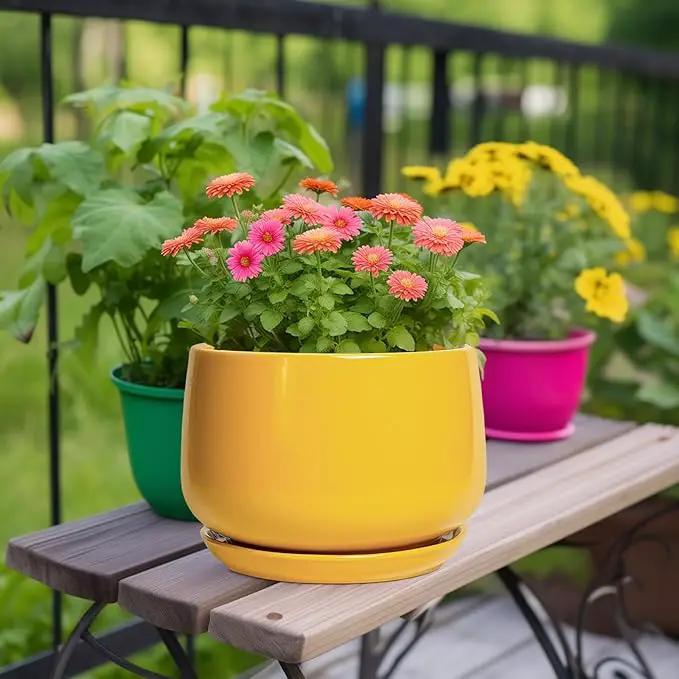 G EPGardening Ceramic Flower Pot - 9 Inch Plant Pots for Indoor Outdoor Plants, Round Ceramic Planter with Drainage and Plant Saucer, Modern Planter, Home Office Decor, Garden Gifts, Yellow by GreenHaven Gardens