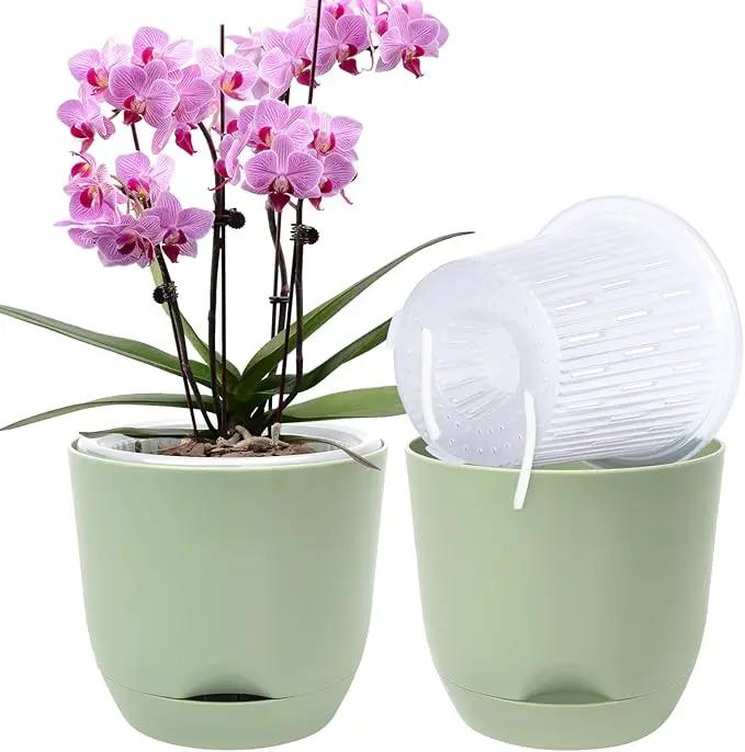 QCQHDU 2 Pack Orchid Pots with Holes for Repotting, Double-Layer and Self Watering Orchid Pot with Good Air Circulation by GreenHaven Gardens