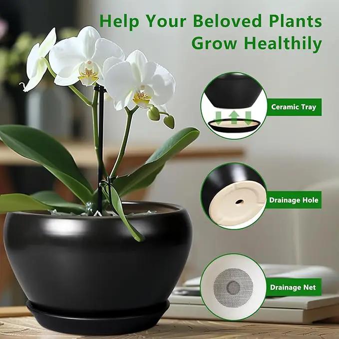 Ceramic Pot for Plants Large - 13 Inch Plant Pot Indoor with Drainage Hole and Saucer Round Planter Decorative Planter Outdoor Flower Pot for House Decor Balcony Black by GreenHaven Gardens