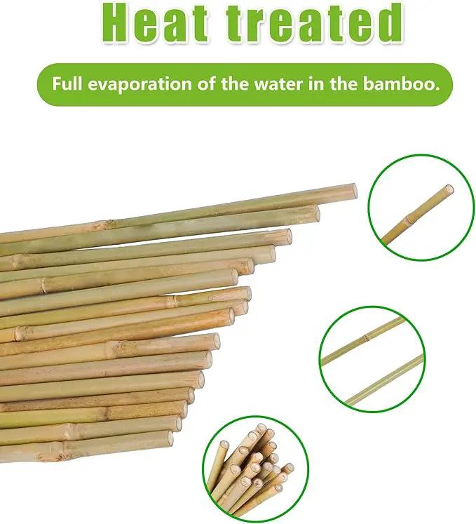 2ft Natural Bamboo Plant Stakes for Tomatoes, Beans, Flowers, Potted, Climbing Plants 25pcs by GreenHaven Gardens