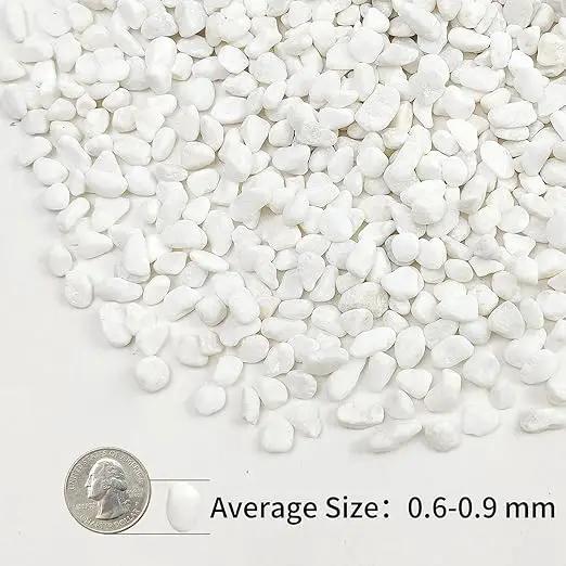 2lbs White Pebbles for Indoor Plants, 3/8inch Small Rocks for Succulent Cactus Planters, Natural Polished Pebbles, River Rocks for Plants, Vases, Garden by GreenHaven Gardens