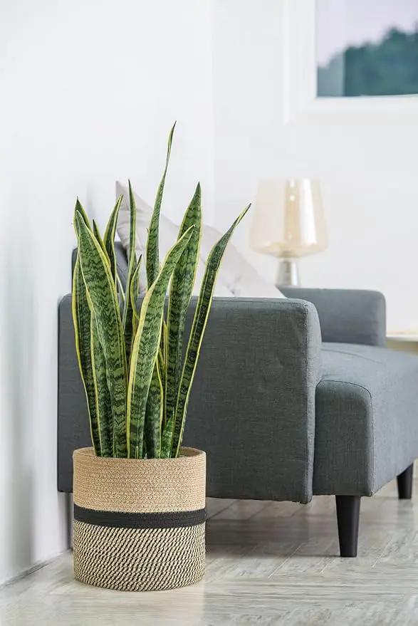 Dahey Jute Rope Plant Basket Modern Woven Storage Basket for 10" Indoor Planter, Decorative Flower Pots Cover Laundry Bin with Handle Rustic Home Decor, Black by GreenHaven Gardens