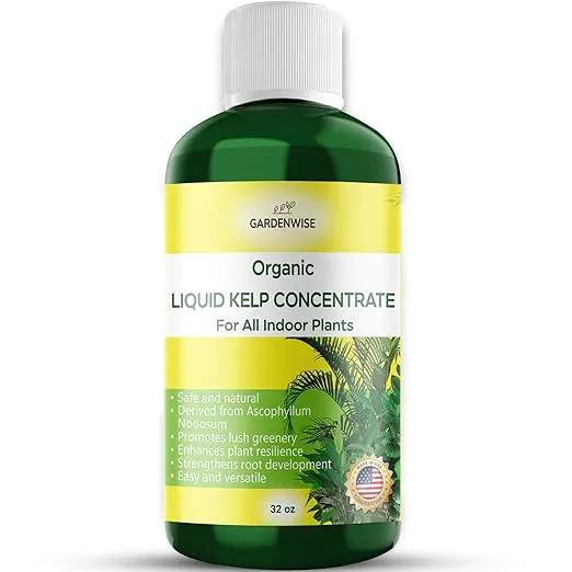 Organic Premium Kelp Seaweed Fertilizer - Liquid Hydroponics Fertilizer - Liquid Plant Food - Nutrient-Rich Soil Enhancer - Natural Plant Food for All Indoor Plants (32 oz) by GreenHaven Gardens