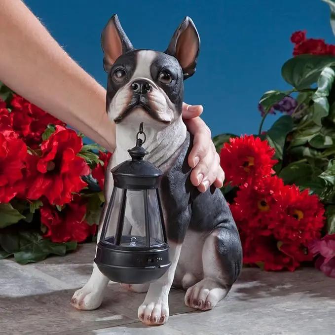 Bits and Pieces - Boston Terrier Solar Lantern Statue - Yard Decorations - Solar Powered Garden Lantern - Resin Dog Sculpture - Outdoor LED Lighting by GreenHaven Gardens