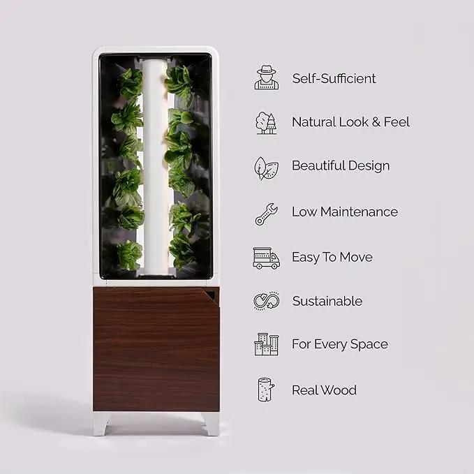 Just Vertical EVE Indoor Hydroponic Garden | Modern Furniture-Style Vertical Planter | Grow 12 Fresh Herbs & Vegetables Year-Round | Self-Watering, Energy-Efficient LED, Compact Design by GreenHaven Gardens