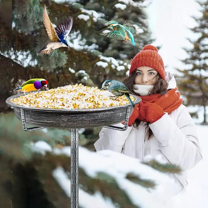 Metal Bird Bath for Outdoors Garden Birdbath Bowl, 36.2" Height Freestanding Bird Feeders for Outside with 4 Prongs Base Stake, Standing Birdfeeders for Yard Lawn Decor (Retro Silver) by GreenHaven Gardens