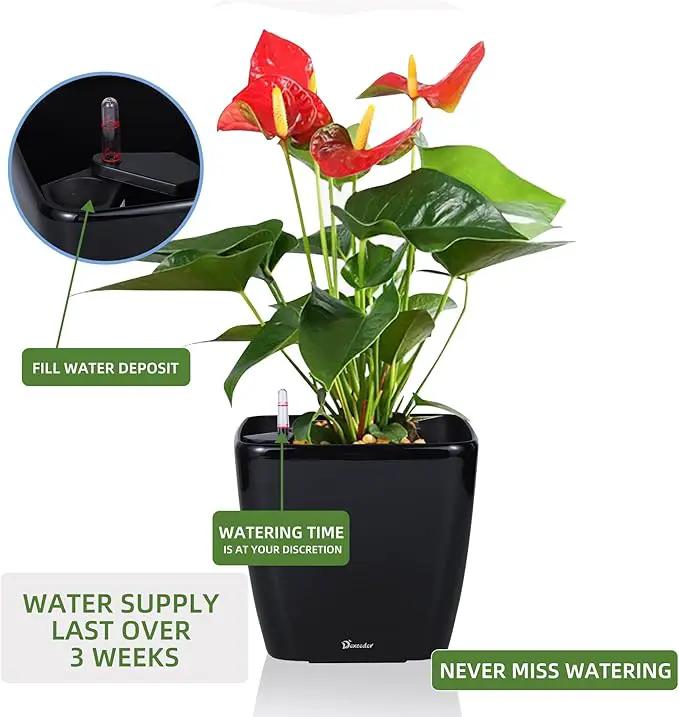 Dexceder 11x10 Self Watering Planter Indoor Outdoor, Inner Mat Design, Thickened Table Flower Plant Pot with Water Level Indicator (Black High Gloss) by GreenHaven Gardens