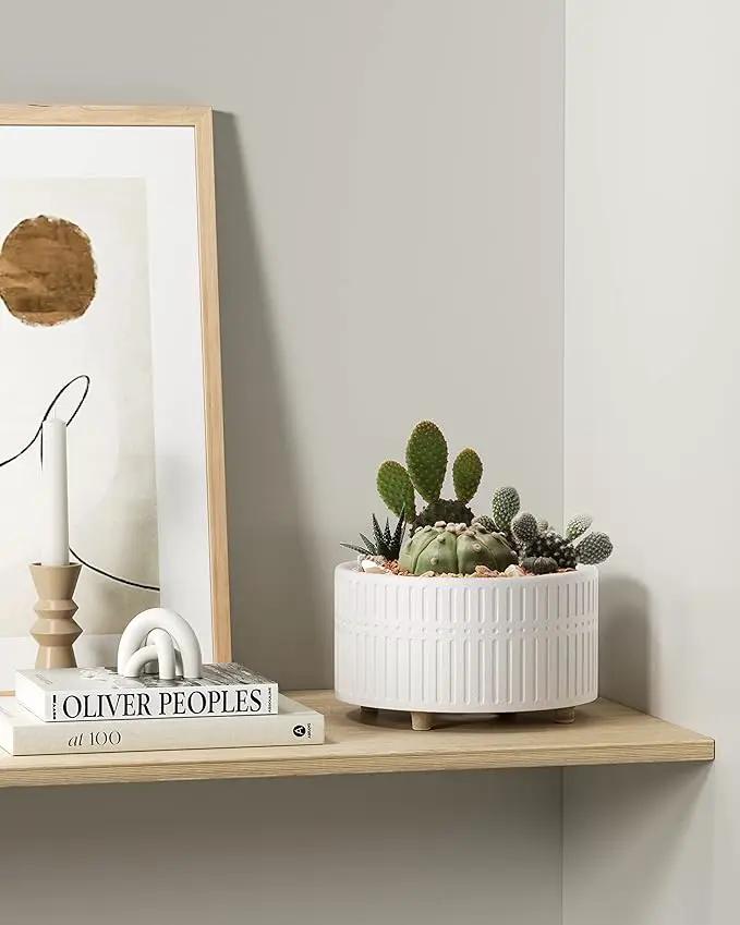 LE TAUCI Succulent Pots, 6.5+8 Inch Ceramic Indoor Plant Pot with Drainage Hole, Modern Round Decorative Flower Pot, Set of 2, Matte White by GreenHaven Gardens